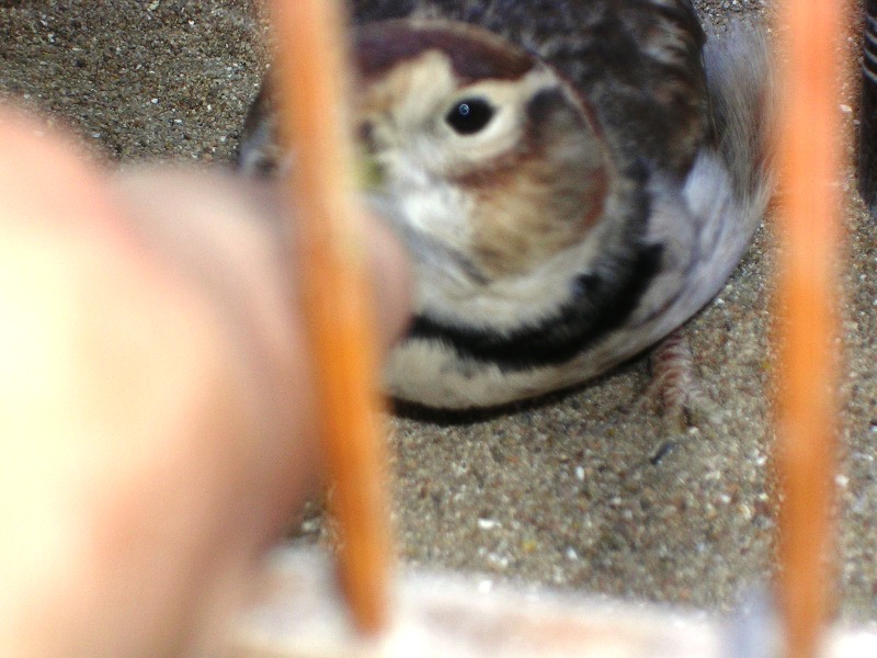 DSCN9060.JPG
