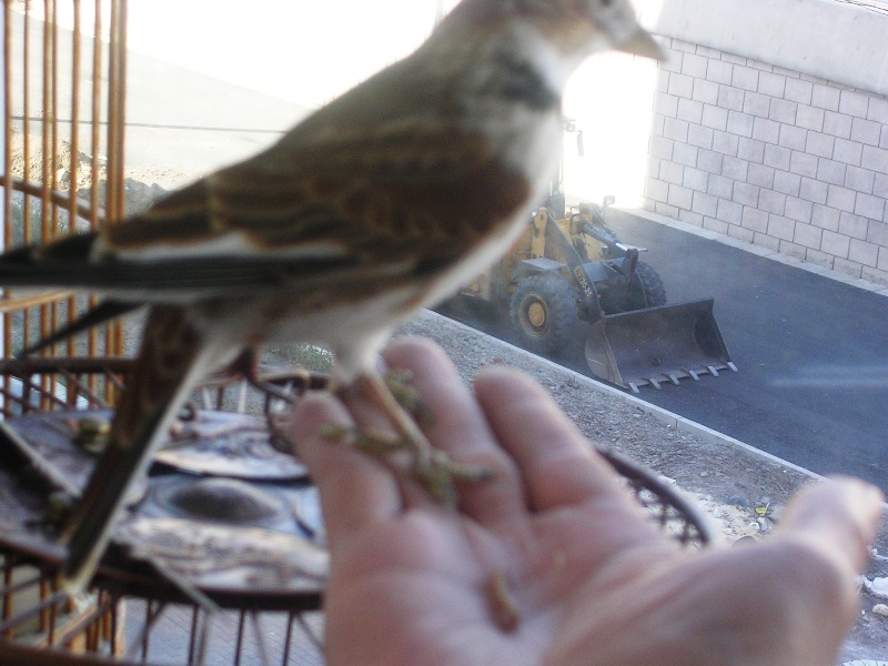 DSCN9151.JPG