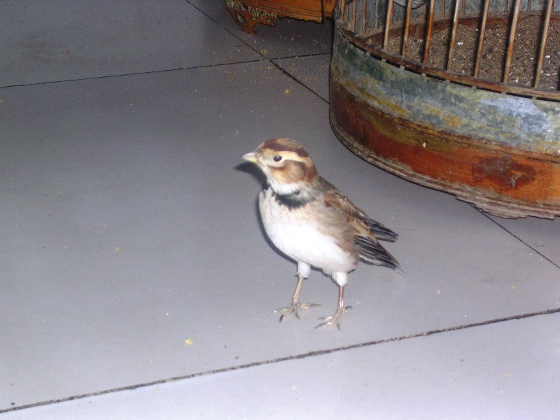 DSCN7986.JPG