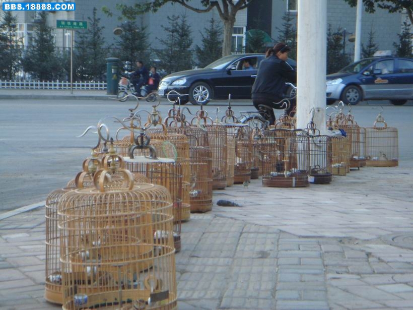 调整大小 DSC01918.JPG