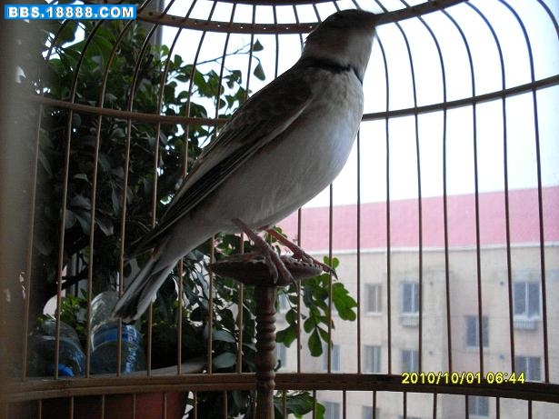 SDC16830.JPG