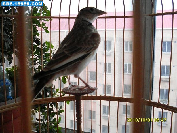 SDC16837.JPG