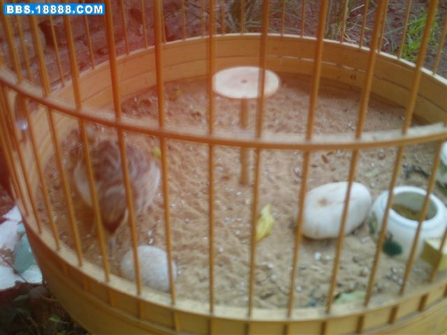 IMAG0025.JPG