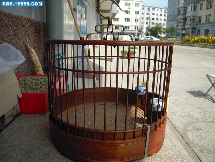 照片11 034.jpg