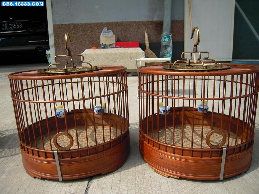 照片11 008.jpg