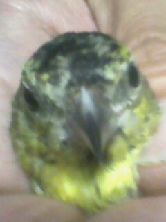 IMG0535A.jpg