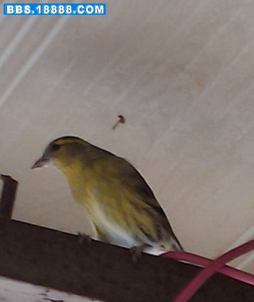 IMAG0024.JPG