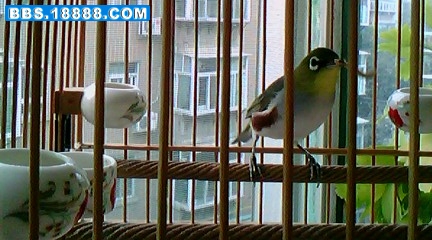 IMG0082A.jpg