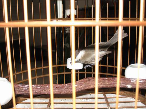 调整大小 IMG_2537.jpg