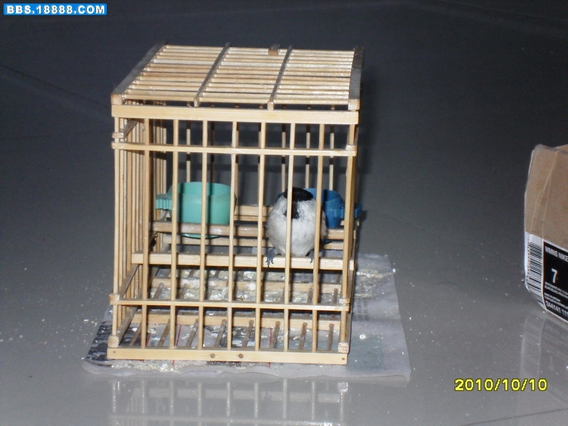 SDC12147_缩小大小.JPG