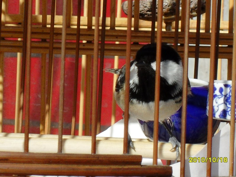 SDC12216_缩小大小.JPG