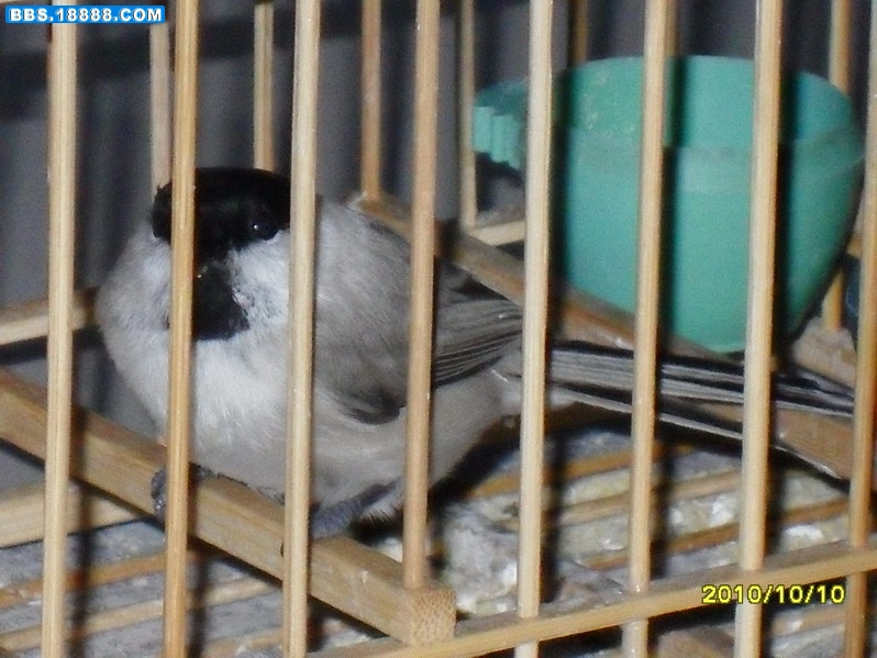 SDC12150_缩小大小.JPG