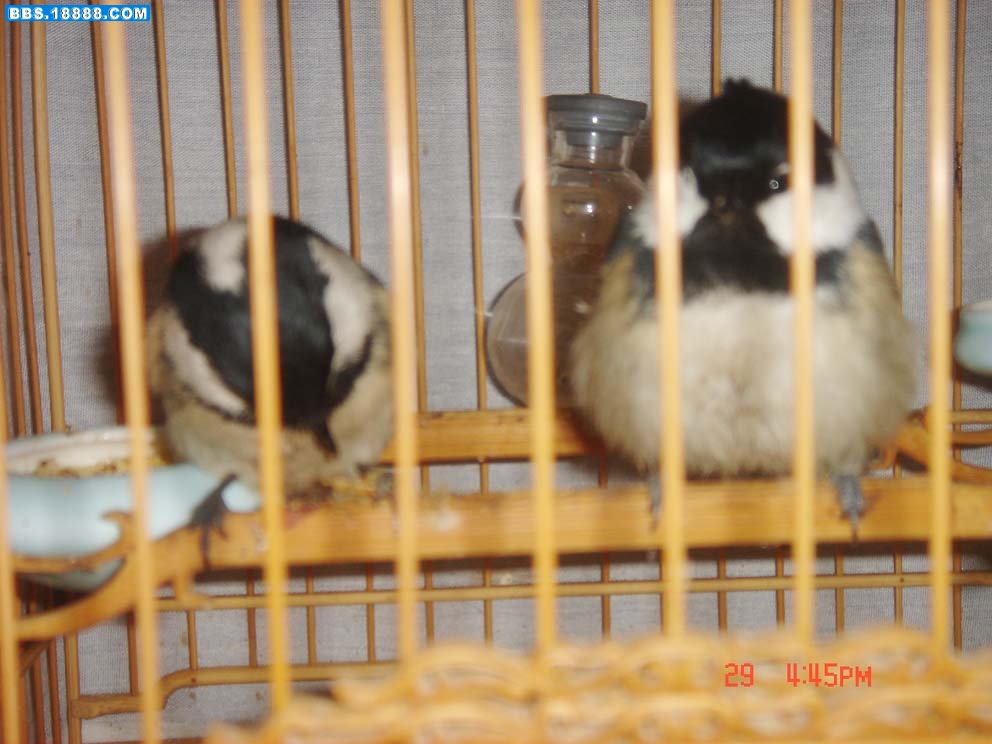DSC06380.JPG