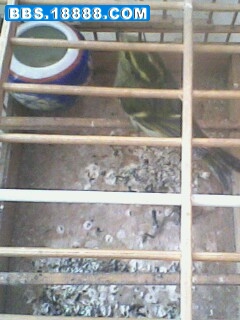 IMG0507A.jpg