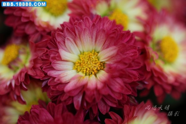 conew_dpp_0060.jpg