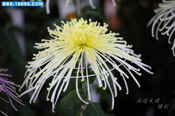 conew_img_5868.jpg