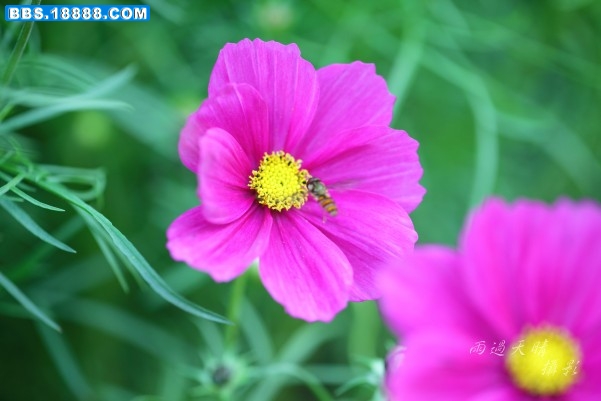 conew_img_5884.jpg