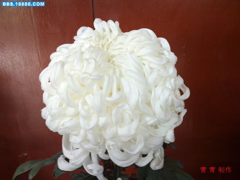 nEO_IMG_PICT0166.jpg