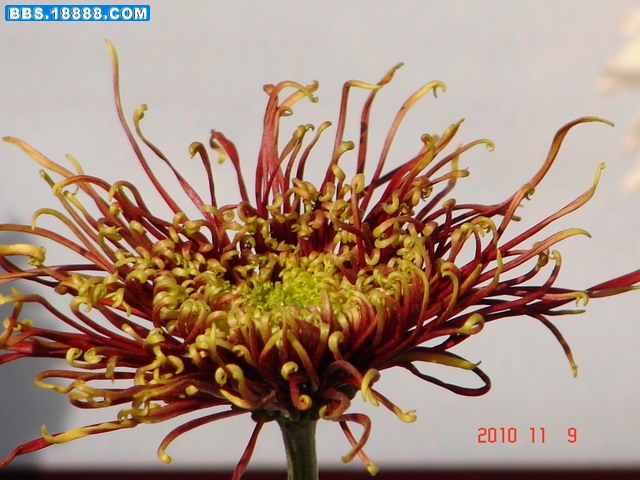 DSC06663_缩小大小.JPG