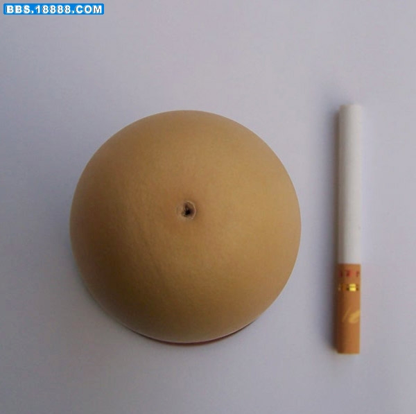 小舅母葫芦 239.jpg