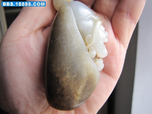 照片 006.jpg