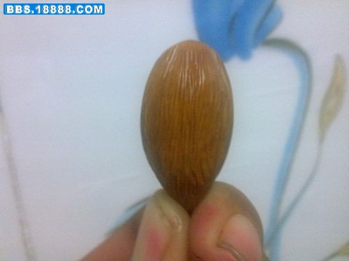 照片 240.jpg
