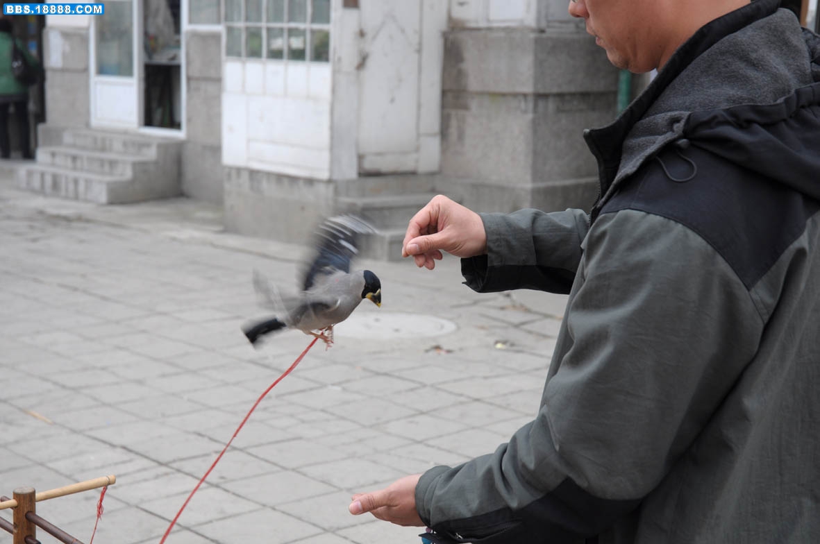 DSC_0425 - 副本.JPG
