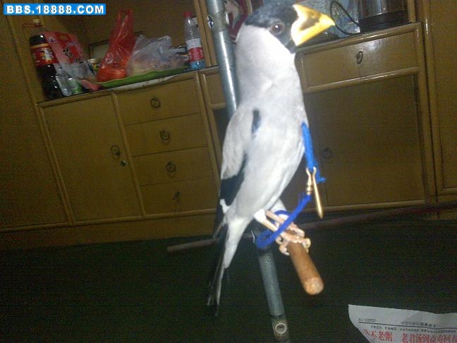 20101124708.jpg