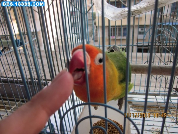 conew_img_0564.jpg