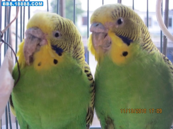 conew_img_0628.jpg