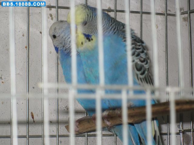 IMG_1661.jpg