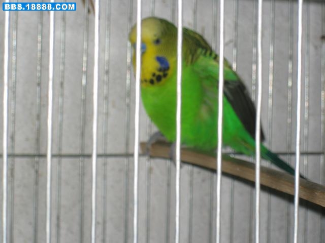 IMG_1635.jpg
