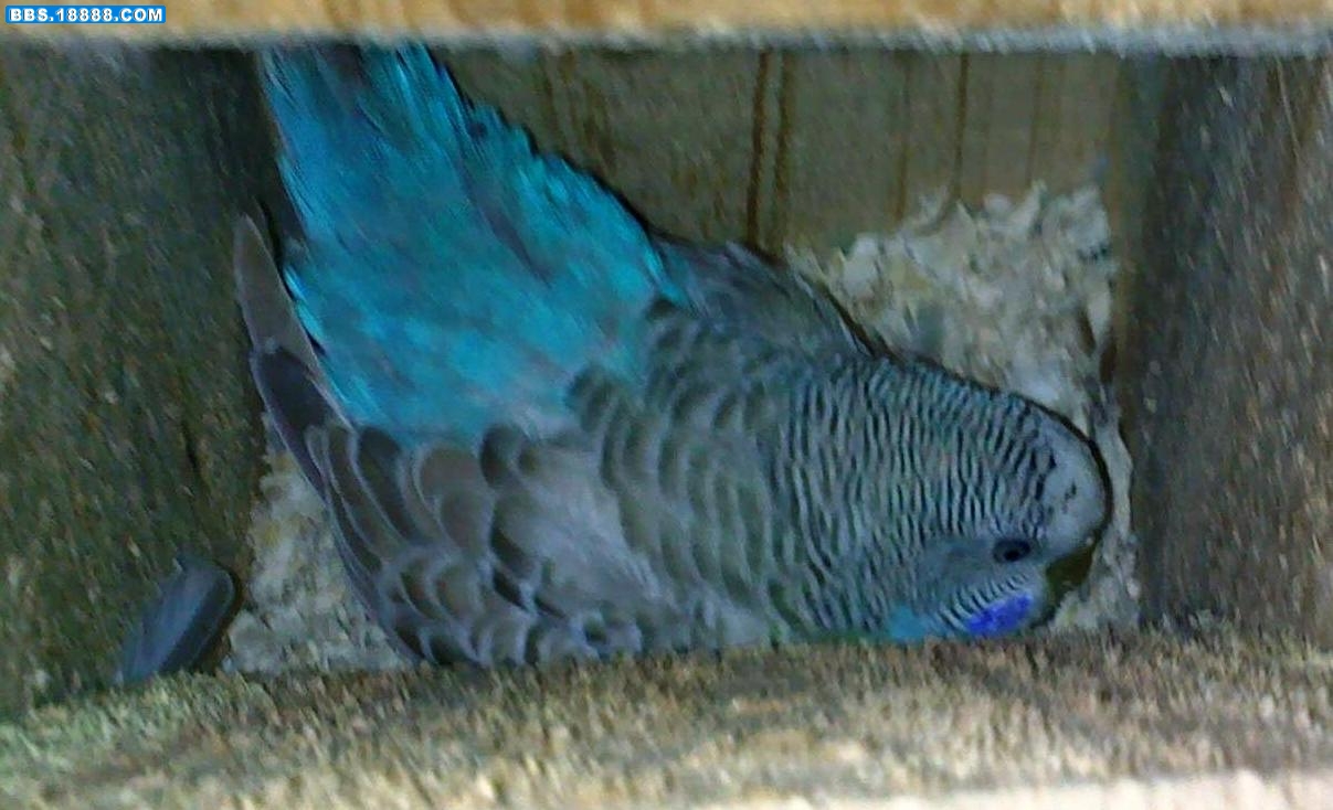 20101107071.jpg
