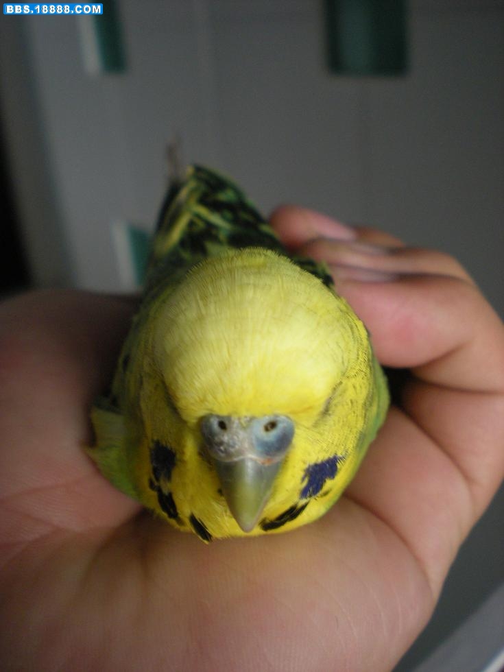 照片22222 0111.JPG