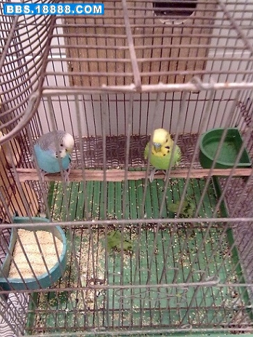 20101121048.jpg