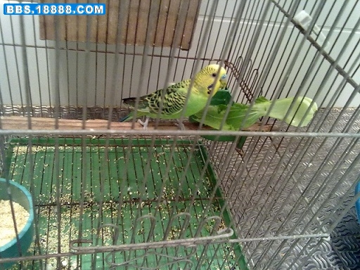 20101121041.jpg
