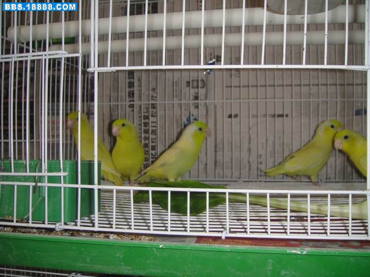DSC00475.JPG