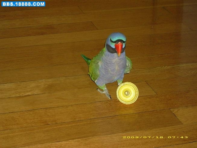 4.jpg