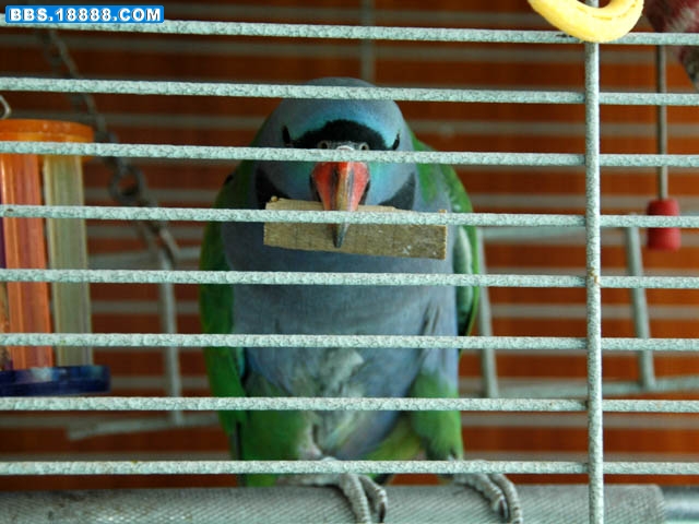 DSC_1407.jpg
