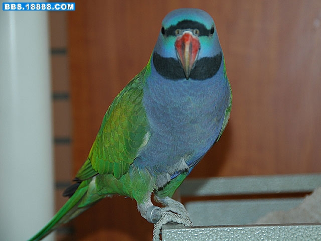 DSC_1421.jpg