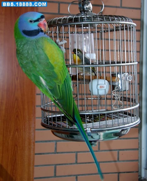 DSC_1437.jpg