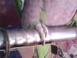 IMG0124A.jpg