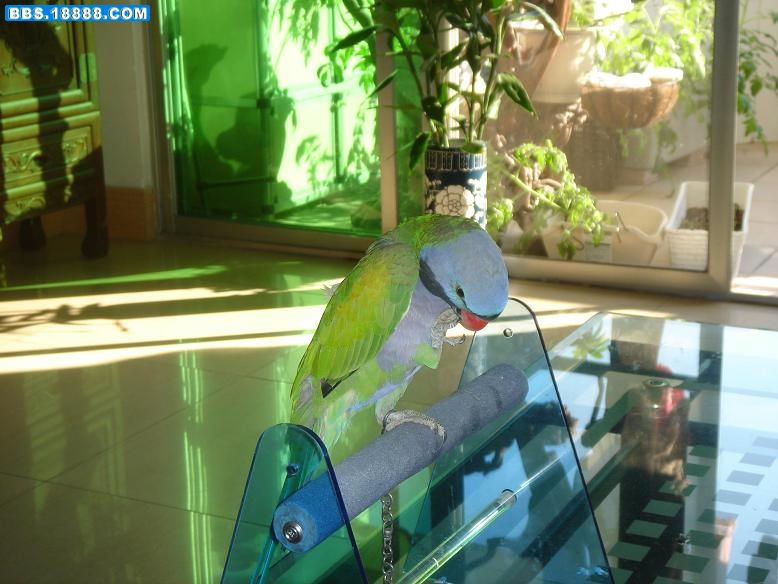 DSC02899.JPG