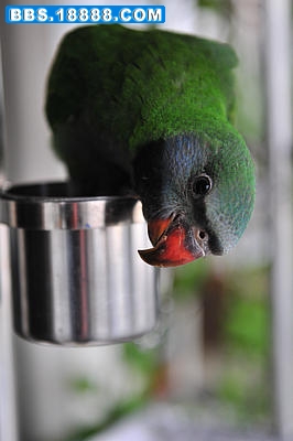 DSC_2748_1.jpg