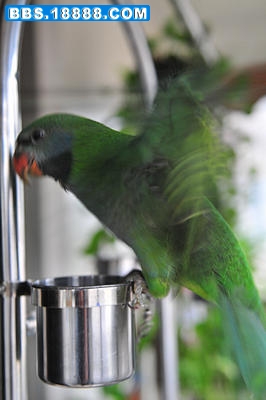 DSC_2763_1.jpg