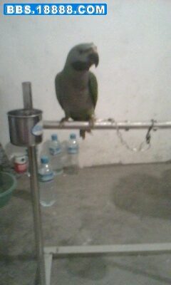 IMG1224A.jpg