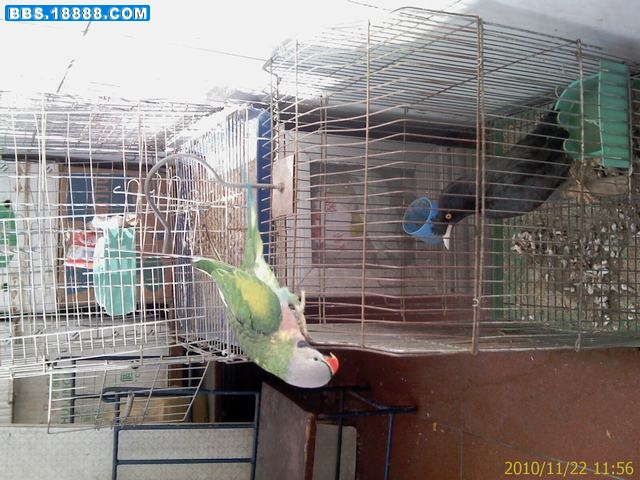 IMAG0295.jpg