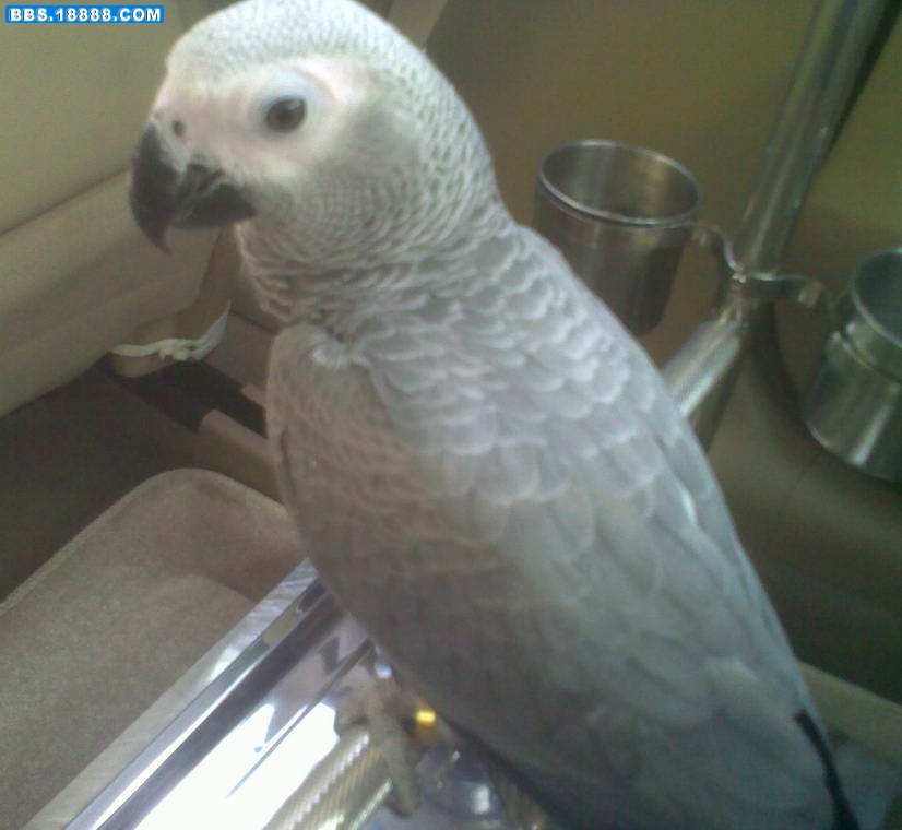 20101112153.jpg