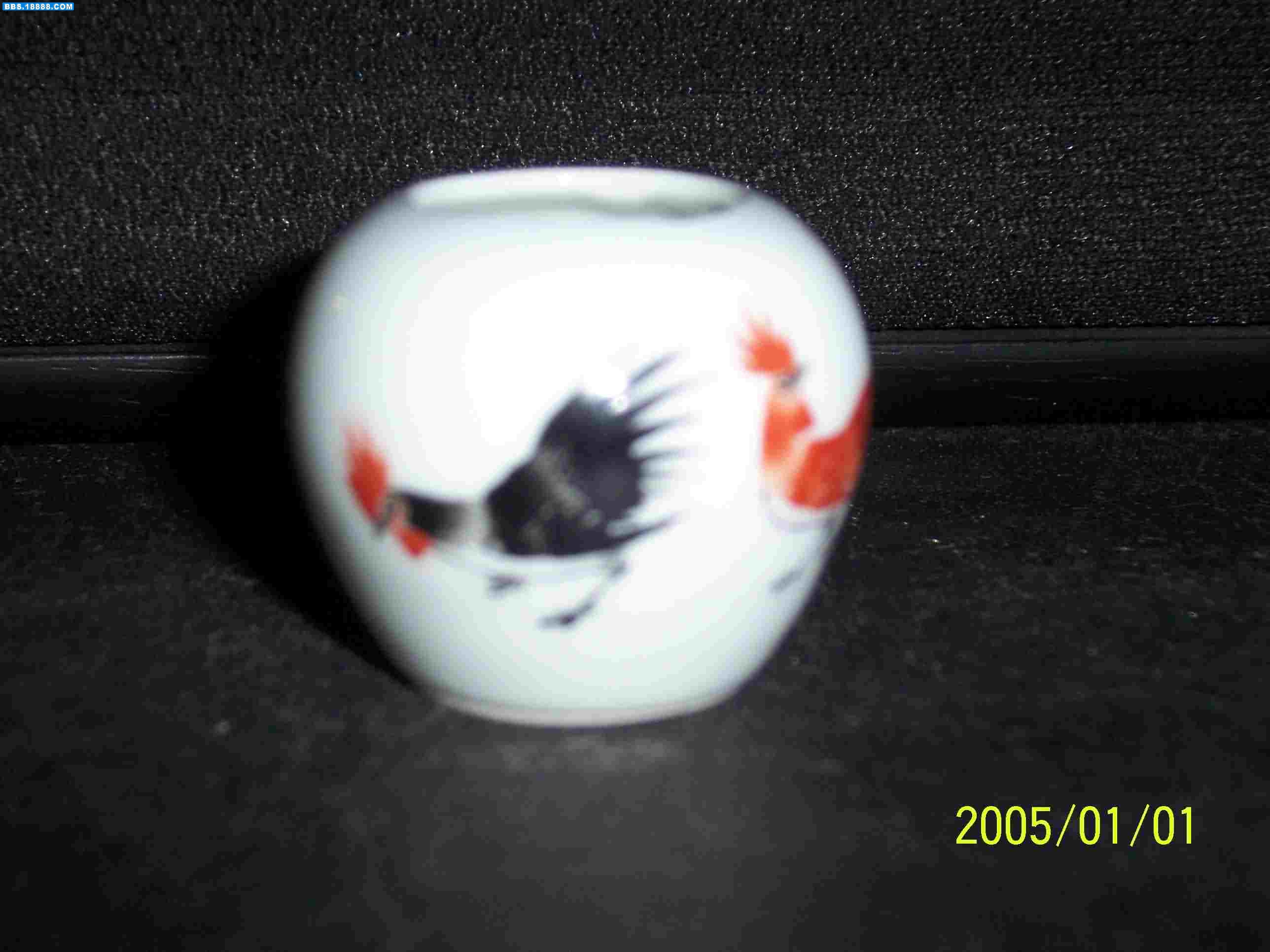 100_2491.JPG