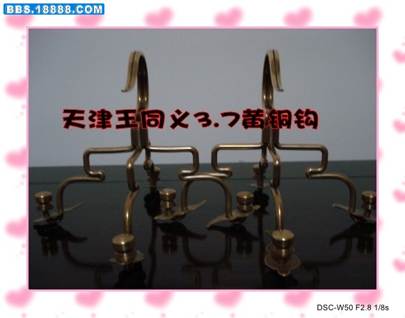 DSC02521_conew8.jpg
